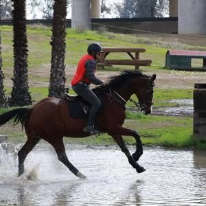 Meet your Posher, Nick